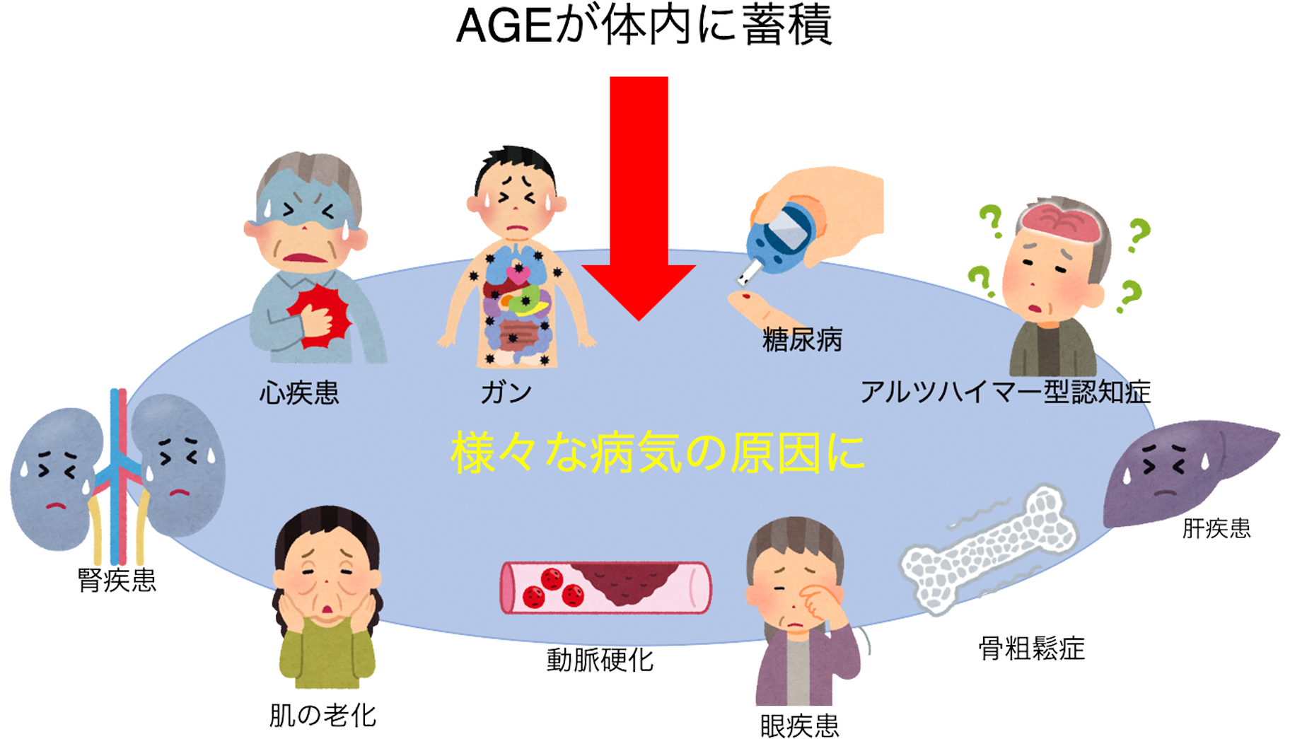 AGE検査